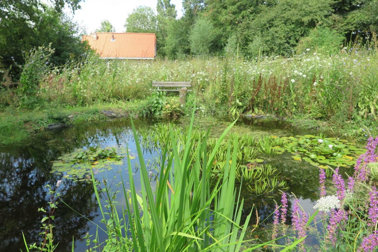 Het Kunstenaarshuis Kamperland Esterno foto